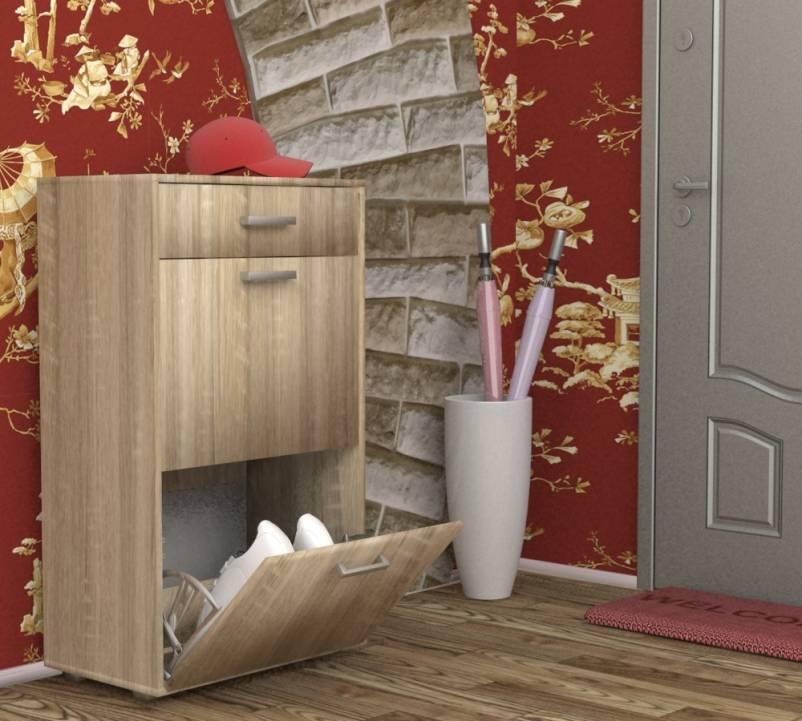 Фото Обувница ОБ-2 от производителя Пирамида в Геническе по цене 5 060 ₽