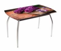 Фото  стол обеденный 5.1 mini  производитель Мебель из стекла