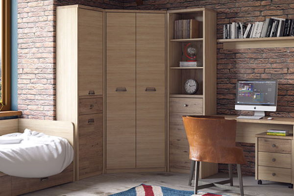 Фото Шкаф 2D1S/D1 Дизель (Diesel) от производителя Анрэкс в Геническе по цене 16 500 ₽