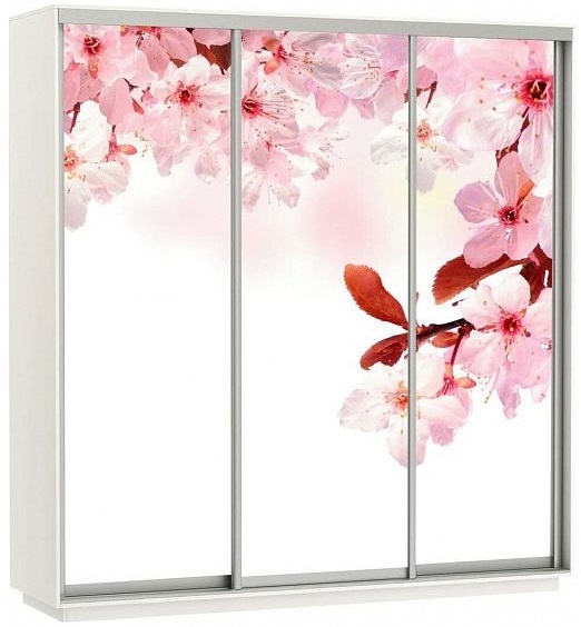 Фото Шкаф-купе Экспресс Трио Фото (2,1х0,6х2,2 - 3 двери) от производителя Мебельная компания Е1 в Геническе по цене 51 430 ₽