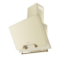 Вытяжка наклонная Retro Quadr 60 (600х470хh775(995)) (Материал Металл/Стекло , Цвет Черный/Черный) в Геническе от производителя 