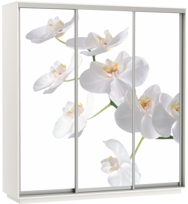 Фото Шкаф-купе Экспресс Трио Фото (2,4х0,6х2,4 - 3 двери) от производителя Мебельная компания Е1 в Геническе по цене 63&nbsp;870 ₽