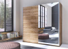 Шкаф-купе-2D typ 78 Beta (2 двери) (Материал дверей:мдф-зеркало, цвет дверей:дуб риббек, цвет каркаса:дуб риббек (Helvetia) )
