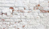 Фото Стеновая кухонная панель Кирпичи-Штукатурка от производителя SV-мебель в Геническе по цене 7&nbsp;620 ₽